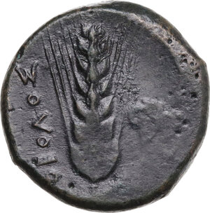 reverse: Southern Lucania, Metapontum. AE Obol, c. 425-350 BC