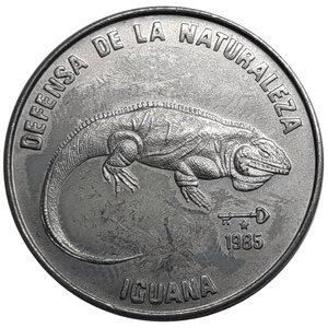 reverse: Cuba 1 peso  1985 Difesa della natura, Iguana