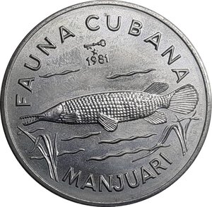 reverse: Cuba 1 peso  1981 Fauna cubana, Manjuari