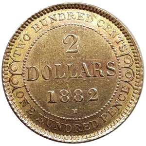 obverse: New Foundland , Victoria , 2 Dollars oro 1882