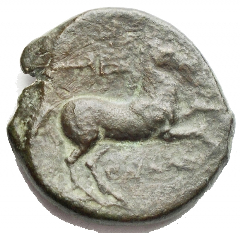 reverse: Mondo Greco - Apulia. Salapia. AE 21 mm. ca. 225-210 a.C. D/ Testa di Apollo a destra. Davanti, ΣAΛAΠINΩN. R/ Cavallo a destra. Sopra, un tridente. Sotto, ΠYΛΛOY. HN (Italy) 692. g 6,72. BB+.