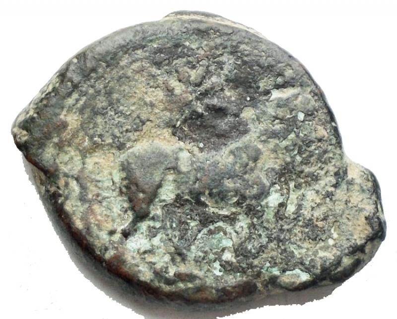 reverse: Mondo Greco - Campania. Neapolis. ca 300-275 a.C. AE. D/ Testa laureata di Apollo a destra. R/ Toro androcefalo a destra, sopra stella. Peso gr. 5,05. BB. R.