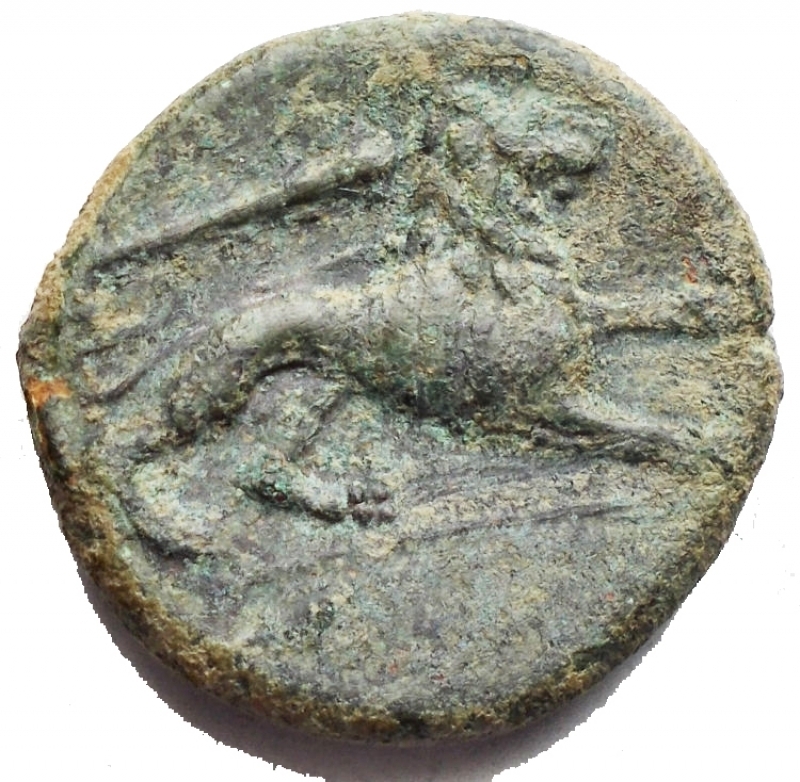 obverse: Mondo Greco - Syracuse, Agatocles (317-289 BC) AE ca. 8.0 g. 20.9 x 21.5 mm. d / Diademed head of Heracles a d. r / Lion advances to d. above club CNS II, n. 151 Ds 8; SNG Copenhagen -; SNG ANS 740. Rare. Green patina. VF-aEF