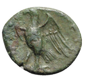 reverse: Sicily, Syracuse. Hiketas II (287-278 BC). Æ (19mm, 3.63g, 11h), c. 283-279. Laureate head of Zeus Hellanios l. R/ Eagle standing l. on thunderbolt. CNS II, 154-5; SNG ANS 782-3; HGC 2, 1448. VF