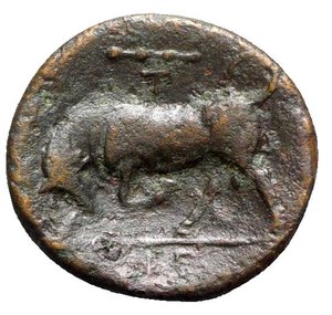 reverse: Sicily, Syracuse. Hieron II (275-215 BC). Æ (18mm, 5.63g, 5h), c. 275-269 BC. Wreathed head of Kore l. R/ Bull butting l.; club and T above; IE in exergue. CNS II, 192 Rl 19; HGC 2, 1469. VF