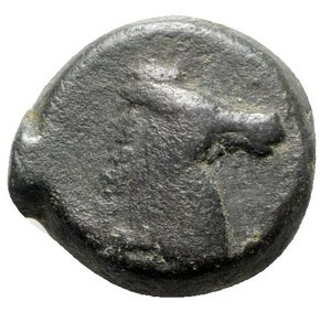 reverse: Sicily, Carthaginian Domain, c. 4th-3rd century BC. Æ (19mm, 5.65g, 12h). Palm tree with two dates. R/ Horse s head r. Lindgren 626; HGC 2, 1669. Good VF