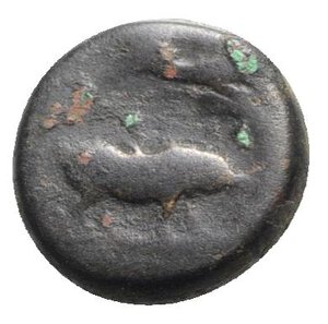 reverse: Attica, Athens (Eleusis), c. 340-335 BC. Æ (14mm, 4.00g, 6h). Triptolemos, holding grain ear, seated l. in winged chariot being drawn by two serpents. R/ Pig standing r. on mystic staff. SNG Copenhagen 415; BMC 14. Fine