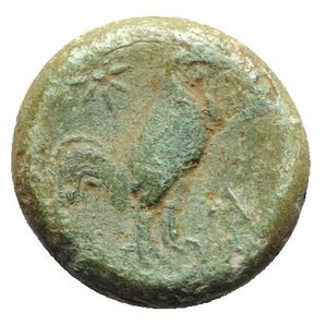 reverse: Latium, Aquinum (or Cales), c. 265-240 BC. Æ (17.5mm, 5.33g, 6h). Helmeted head of Athena l. R/ Cock standing r.; star to l. HNItaly 432. Rare, green patina, Good Fine - near VF