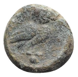 reverse: Northern Apulia, Teate, c. 225-200 BC. Æ Uncia (16mm, 4.05g, 12h). Helmeted head of Athena r. R/ Owl standing r., head facing; pellet below. HNItaly 702d; SNG ANS 752. Green patina, Good Fine