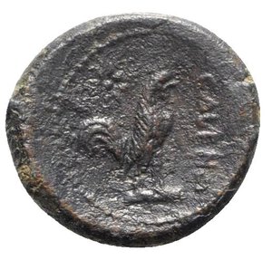 reverse: Northern Campania, Cales, c. 265-240 BC. Æ (21mm, 6.41g, 12h). Helmeted head of Athena l. R/ Cock standing r.; star to l. Sambon 916; HNItaly 435; SNG ANS 188-195. Dark patina, Good Fine - near VF