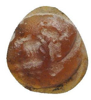 obverse: Roman Glass Paste, c. 1st-3rd century (12mm). Uncertain. Shipped from UK