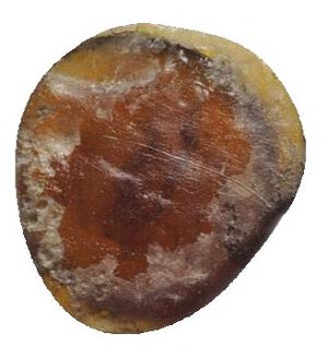 reverse: Roman Glass Paste, c. 1st-3rd century (12mm). Uncertain. Shipped from UK
