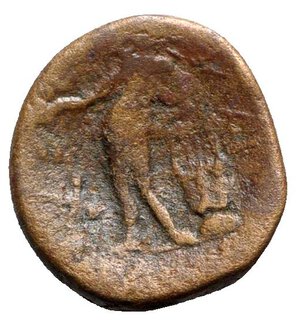 reverse: Sicily, Alaisa Archonidea, c. 95-44 BC. Æ (18.5mm, 5.77g, 12h). Laureate head of Apollo r. R/ Apollo standing l., holding laurel branch and leaning on kithara; monogram to l. Campana 17; CNS I, 6; SNG ANS 1181-4; HGC 2, 198. Rare, brown patina, near VF