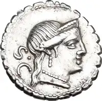 lot 439