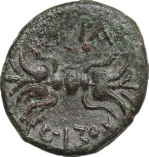 reverse: Syracuse.  Agathokles  (317-289 BC).. AE 16 mm, c. 305-295 BC