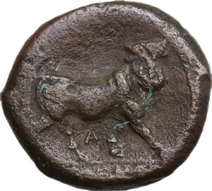 reverse: Samnium, Southern Latium and Northern Campania, Cales. AE 20 mm. c. 265-240 BC