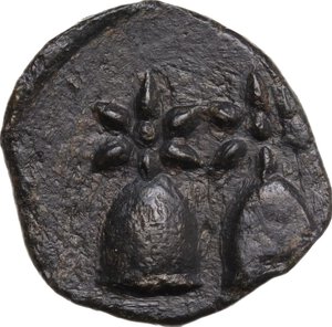 obverse: Kolchis, Dioskourias. AE 17 mm. Late 2nd Century BC