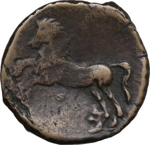 reverse: Kings of Numidia.  Micipsa (148-118 BC).. AE 27 mm