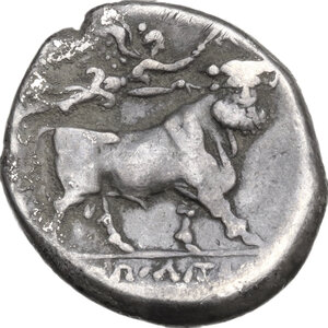 reverse: Central and Southern Campania, Neapolis. AR Nomos, c. 275-250 BC