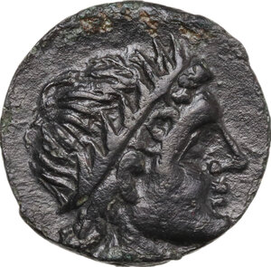 obverse: Northern Apulia, Salapia. AE 19 mm. c. 3rd century BC