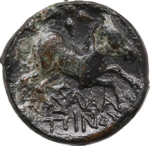 reverse: Northern Apulia, Salapia. AE 19 mm. c. 3rd century BC