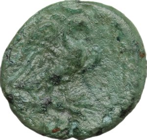reverse: Southern Apulia, Graxa.. AE 15 mm, c. 250-225 BC