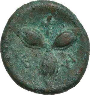 reverse: Southern Lucania, Metapontum. AE 15 mm, c. 300-250 BC