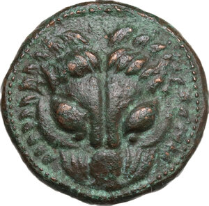 obverse: Bruttium, Rhegion. AE 20 mm, c. 351-280 BC