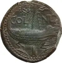 Reverse image