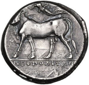 reverse: Central and Southern Campania, Neapolis. AR Nomos, c. 317-300 BC