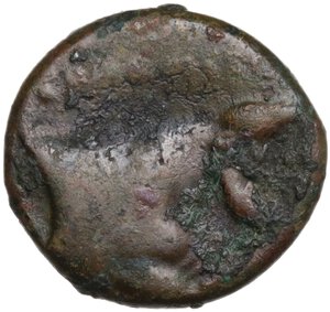 reverse: Central and Southern Campania, Neapolis. AE 13.5 mm, c. 300-275 BC