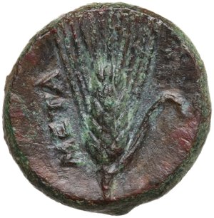 reverse: Southern Lucania, Metapontum. AE 13 mm, c. 300-250 BC