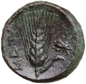 reverse: Southern Lucania, Metapontum. AE 14 mm, c. 300-250 BC
