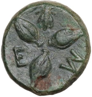 reverse: Southern Lucania, Metapontum. AE 14.5 mm, c. 300-250