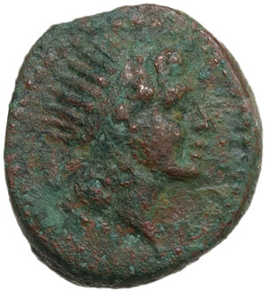 obverse: Bruttium, Petelia. AE 14 mm, c. 204-200 BC