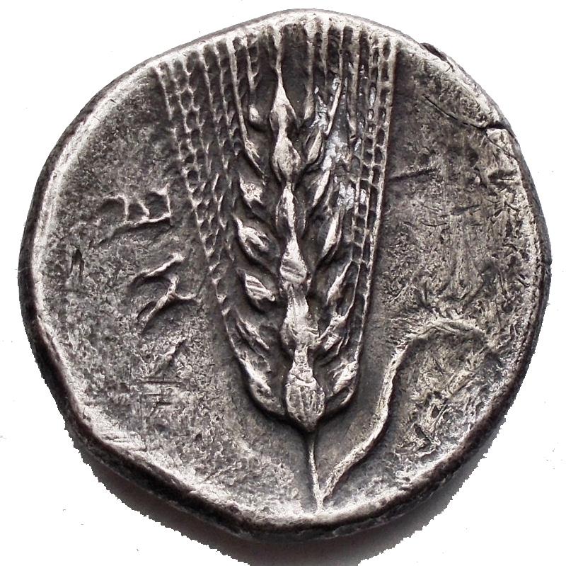 reverse: Mondo Greco - Lucania. Metaponto. 4 Sec aC. Nomos Ar. gr 7,2. d/ Demetra a ds r/ Spiga. BB

