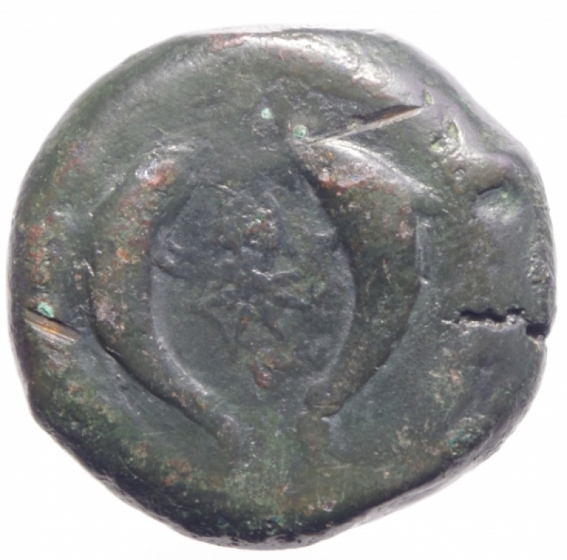 reverse: Mondo Greco. Sicilia Siracusa. dopo il 395 a.C. Ae Emilitra. D/ Testa di Atena con elmo corinzio verso sinistra. R/ Una stella tra due delfini. Calciati 62. Peso 29,25 gr. Diametro 32,68 mm. BB.
