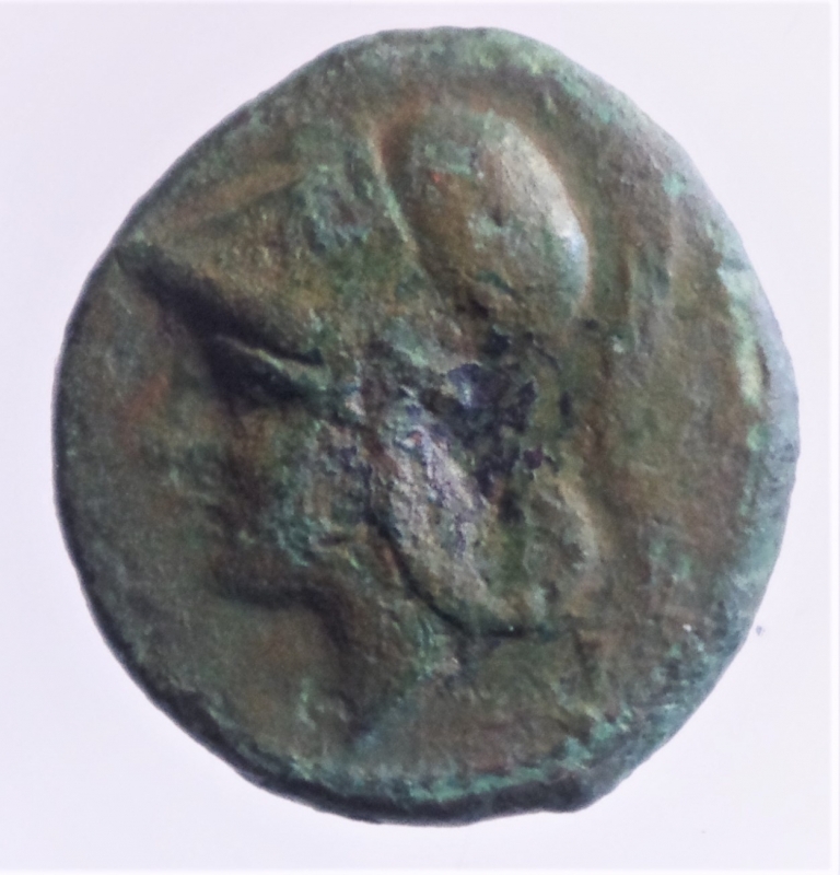 obverse: Repubblica Romana . Serie anonima. Litra, dopo il 276 a.C. D/ Testa elmata di Minerva a sinistra. R/ Testa di cavallo a destra. AE. g 3,62. BB/qBB Patina verde.