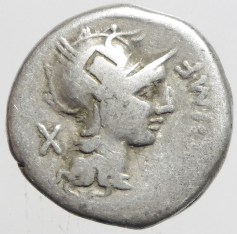 obverse: Repubblica Romana. Gens Cipia. M. Cipius M.f. 115-114 a.C. Denario. Ag. D/ Testa della dea Roma verso destra M CIPI M F. R/ La vittoria su biga verso destra sotto un timone ROMA. Craw. 289/1. Peso 3,66 gr. Diametro 17,00 mm. qBB.