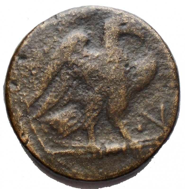 reverse: Mondo Greco - Northern Apulia, Teate. AE Nummus, 225-200 BC. Head of Zeus of Dodona right, wearing oak wreath. / Eagle standing right on thunderbolt. SNG France 1419 var. (no star). AE. 23,66 g. 30,7 mm. RR. Very rare. F-aVF