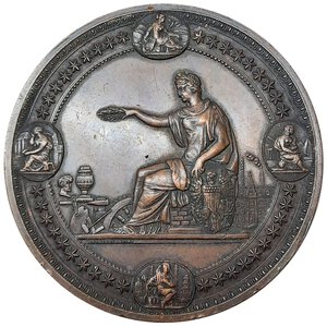 reverse: Medaglia Esposizione di Filadelfia 1876 diam .76 mm  RARA