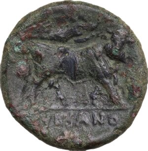 reverse: Samnium, Southern Latium and Northern Campania, Suessa Aurunca. AE 20 mm, 265-240 BC