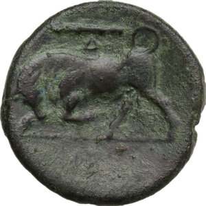 Syracuse.  Hieron II (274-215 BC).. AE, 19 mm