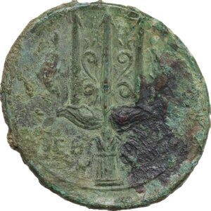 reverse: Syracuse.  Hieron II (274-215 BC).. AE 24 mm