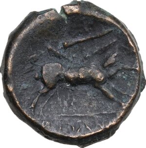 reverse: Northern Apulia, Arpi. AE 20 mm, 325-275 BC