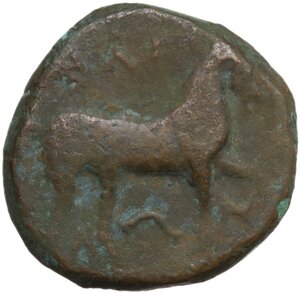 obverse: Northern Apulia, Salapia. AE 19 mm, 275-250 BC