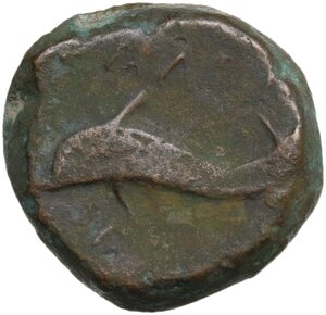reverse: Northern Apulia, Salapia. AE 19 mm, 275-250 BC