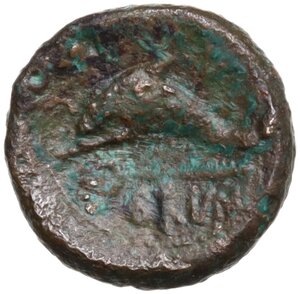 reverse: Southern Apulia, Brundisium. AE 10 mm, 217-212 BC