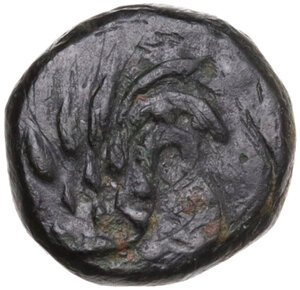 obverse: Cimmerian Bosporos, Pantikapaion. AE 9.5 mm. c. 4th century BC