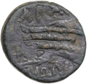 reverse: Cimmerian Bosporos, Pantikapaion.  Asander, as Archon (c. 47-43 BC).. AE 19 mm